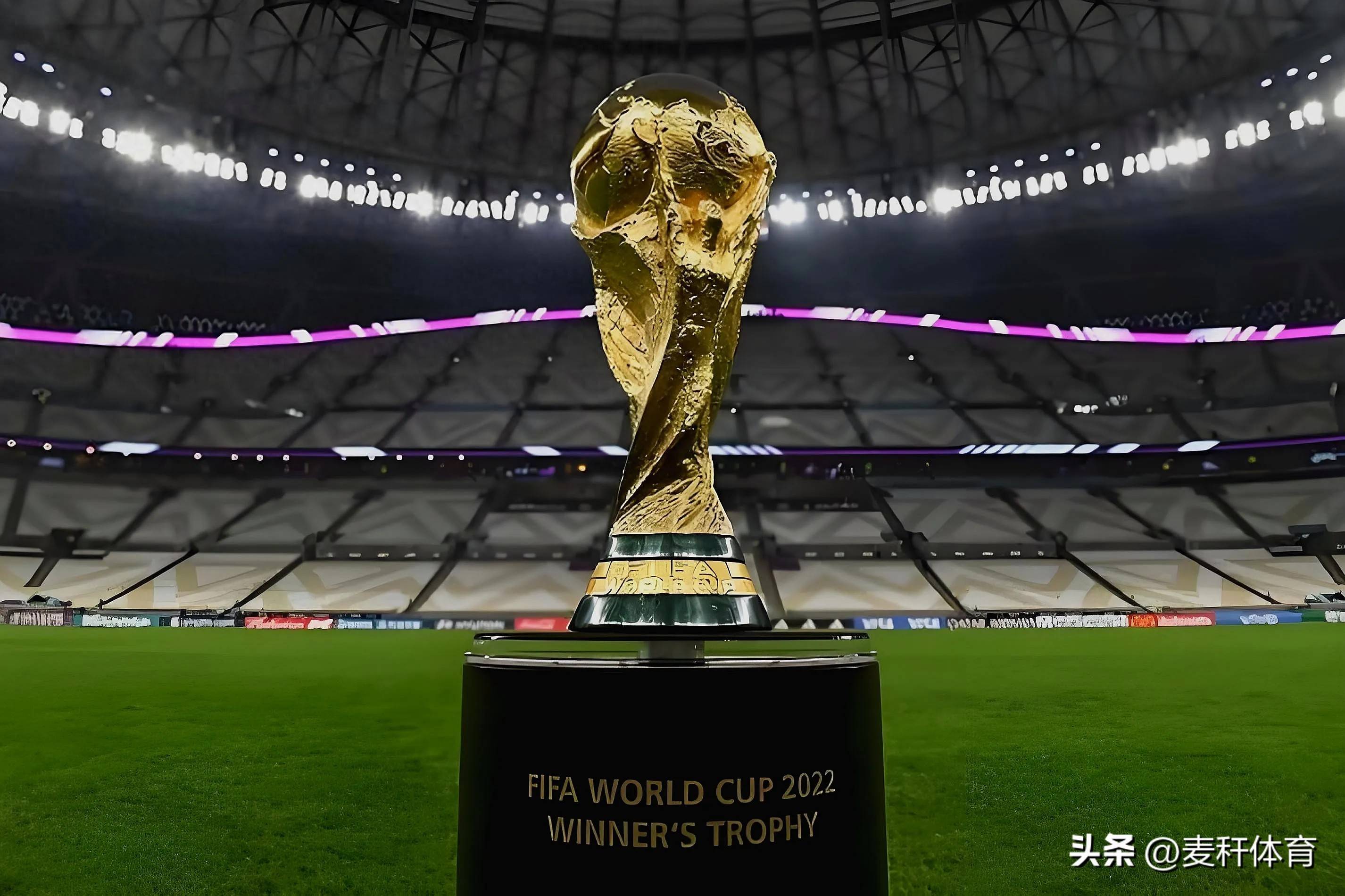 个国际赛事 个国际赛事