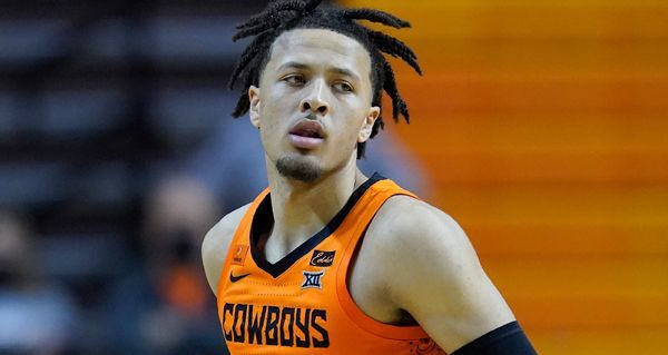 我们提供了 我们提供了